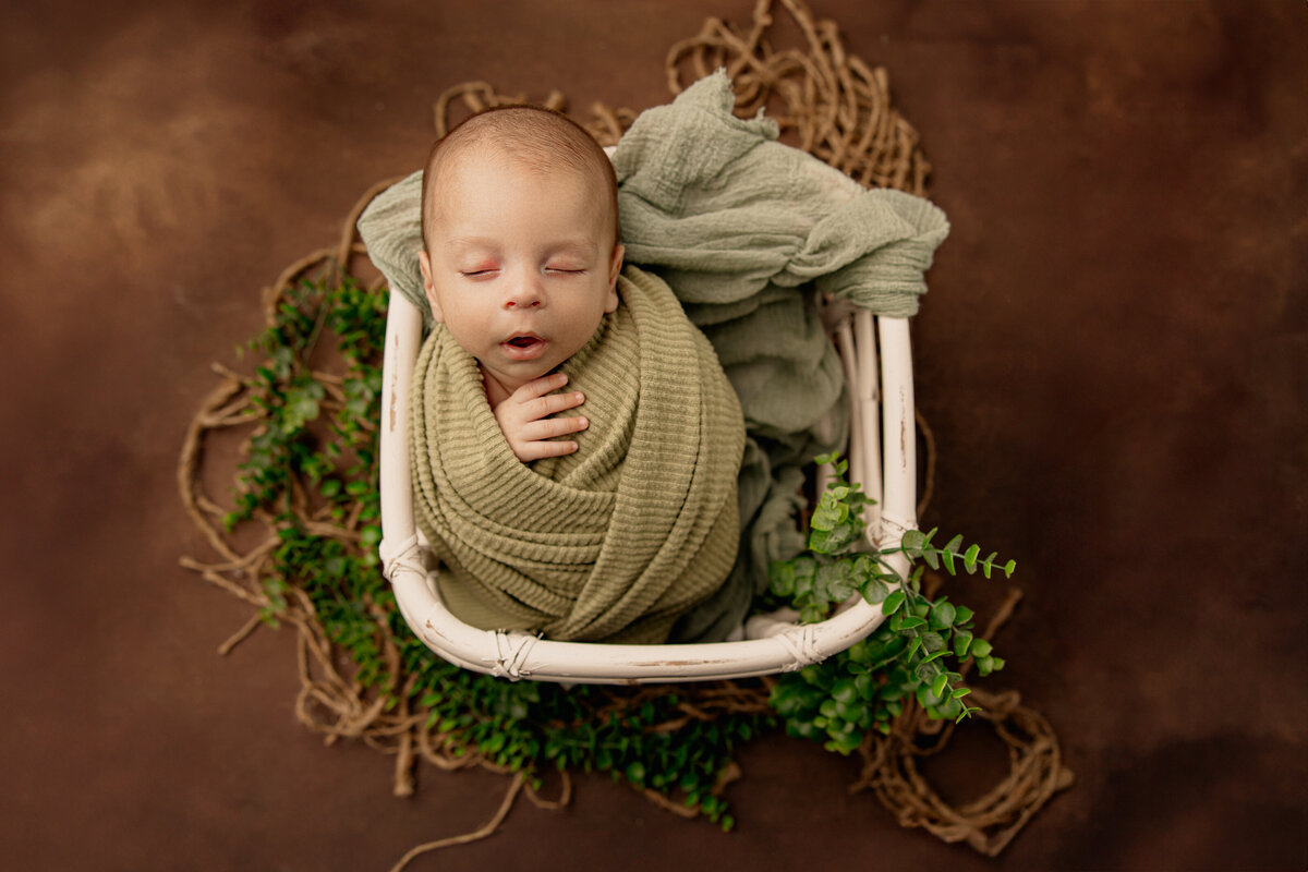 Beaumont Newborn Photographer