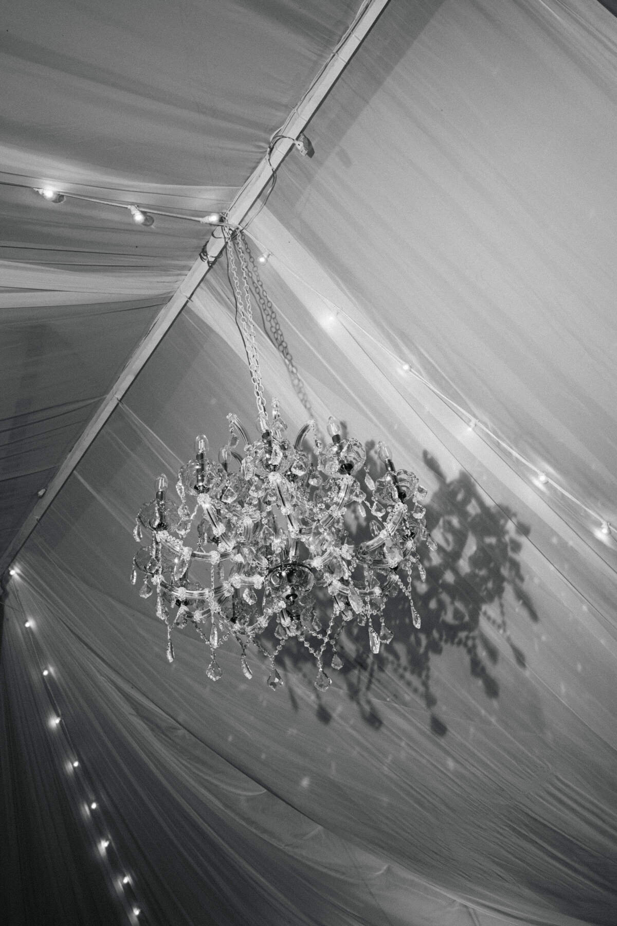 Monika&AdrianWeddingHighlights-0253