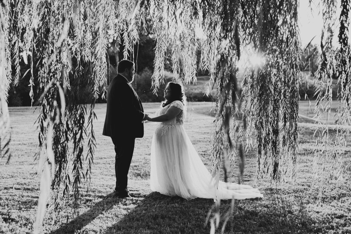 engagement and wedding photographer in northern virginia