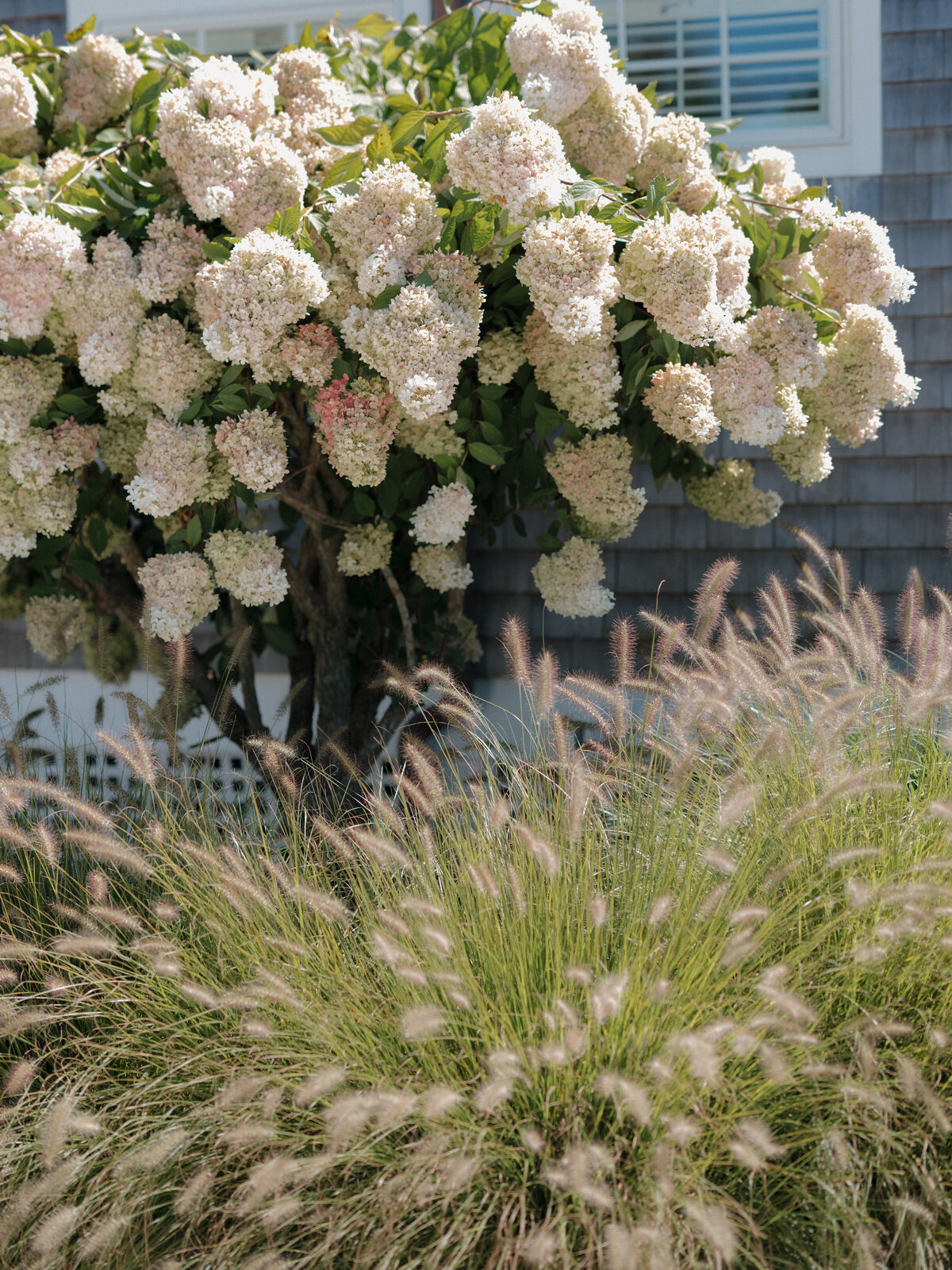 250830JENMAT_adv0029