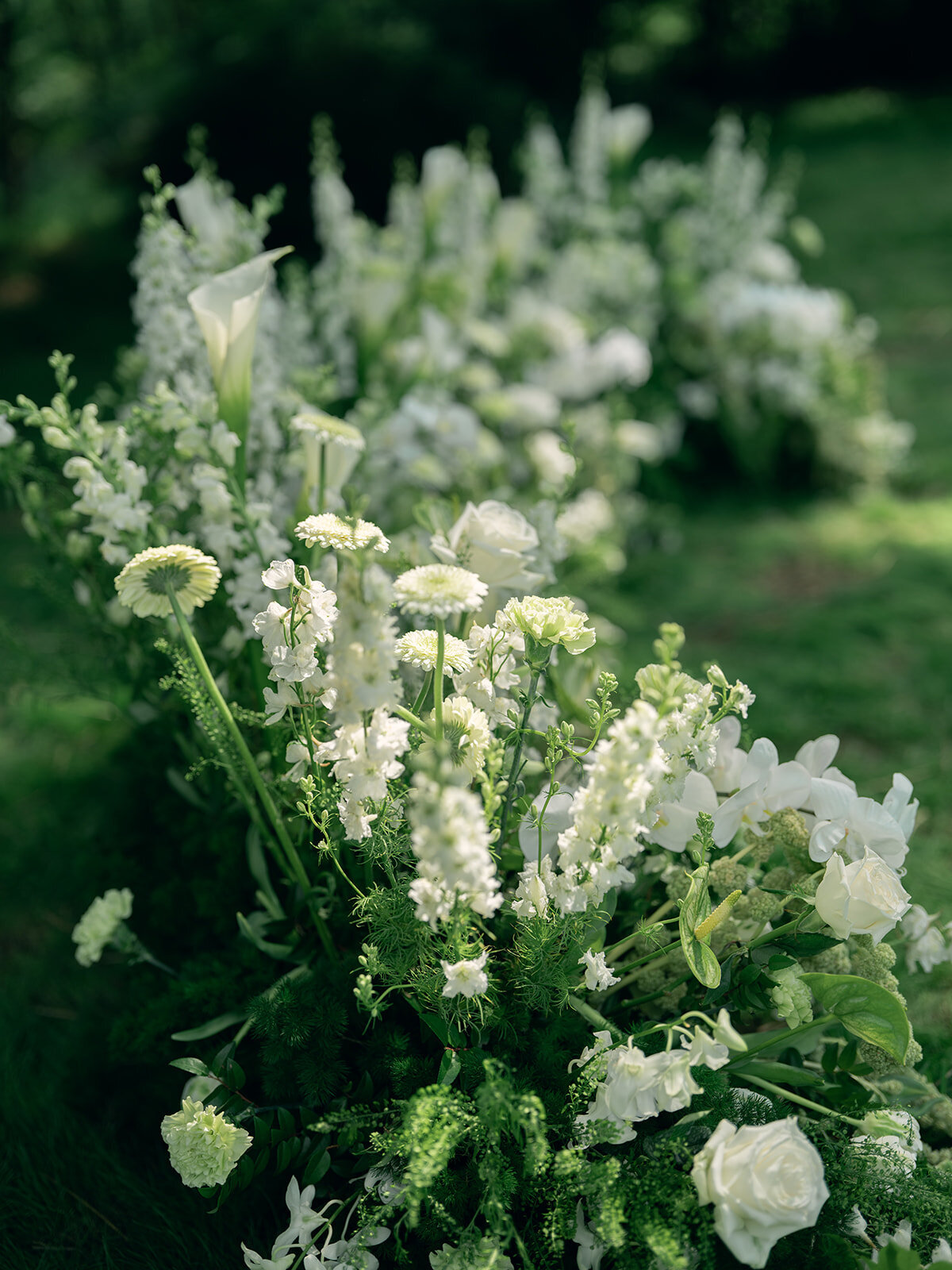 Kathrine+ClaytonWeddingSneak_Magda+Simon2025-28