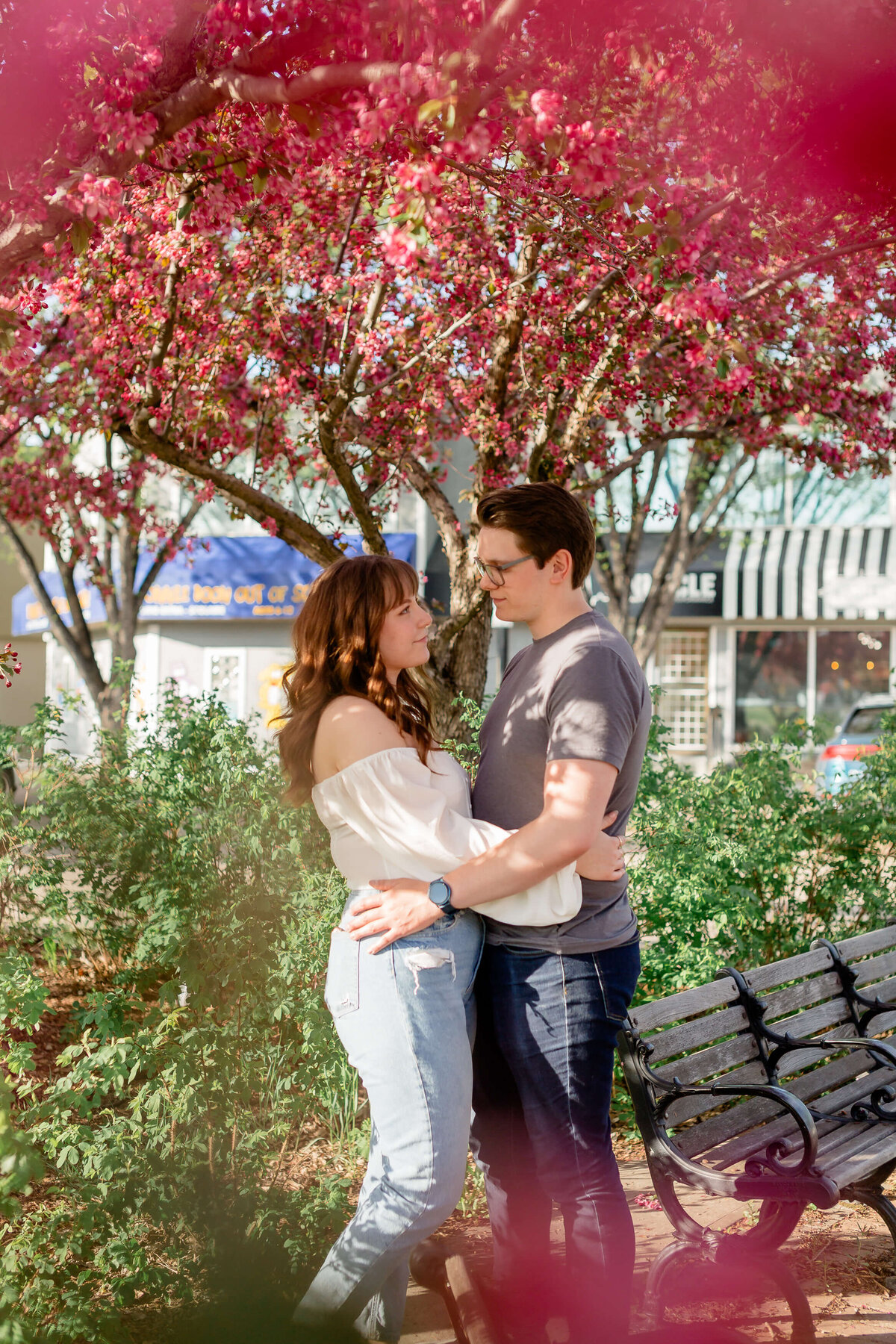 Edmonton couples engagement photographer dani alyssa cherry blossom (4)