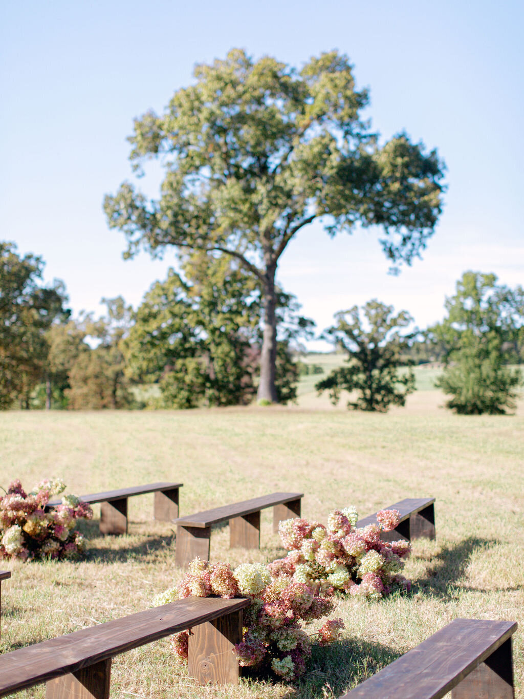 max-owens-fall-wedding-texas-ranch-ceremony-hydrangea
