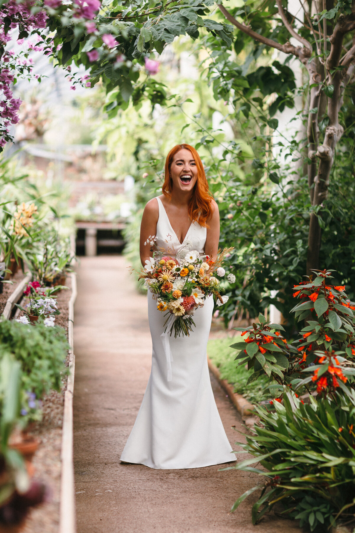 Brdial portraits in greenhouse at Torre Gardens in Devon