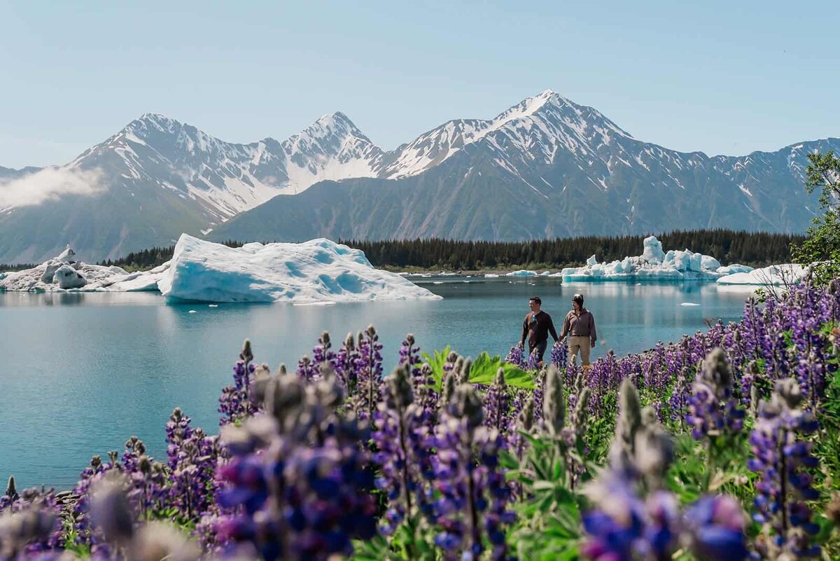 Luxury-Multi-Day-Alaska-Elopement-wildflowers-near-glacier-5