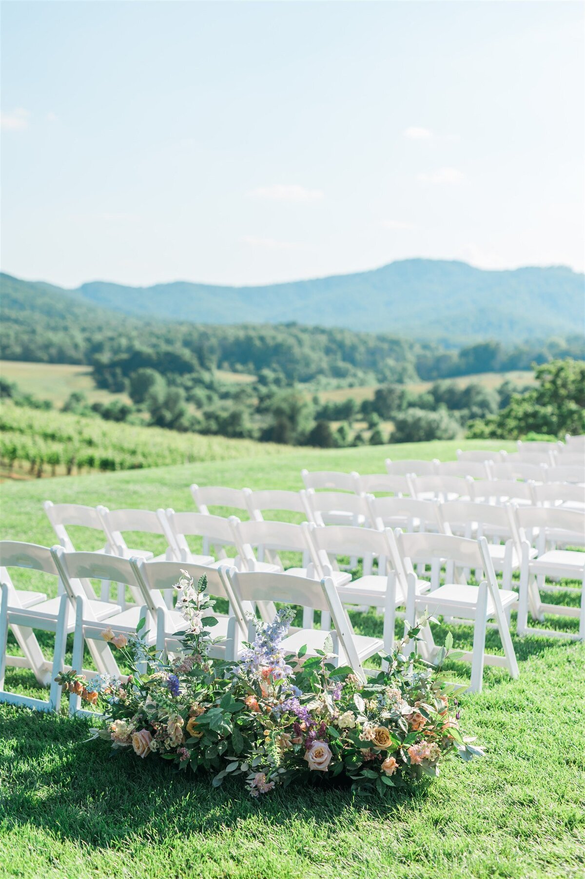 Pippin Hill Wedding29