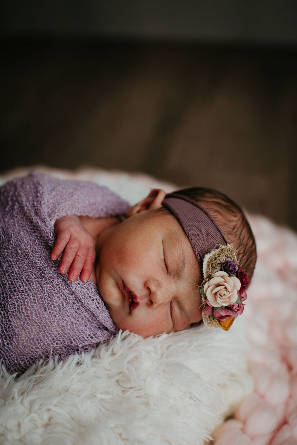 Newborn portraits