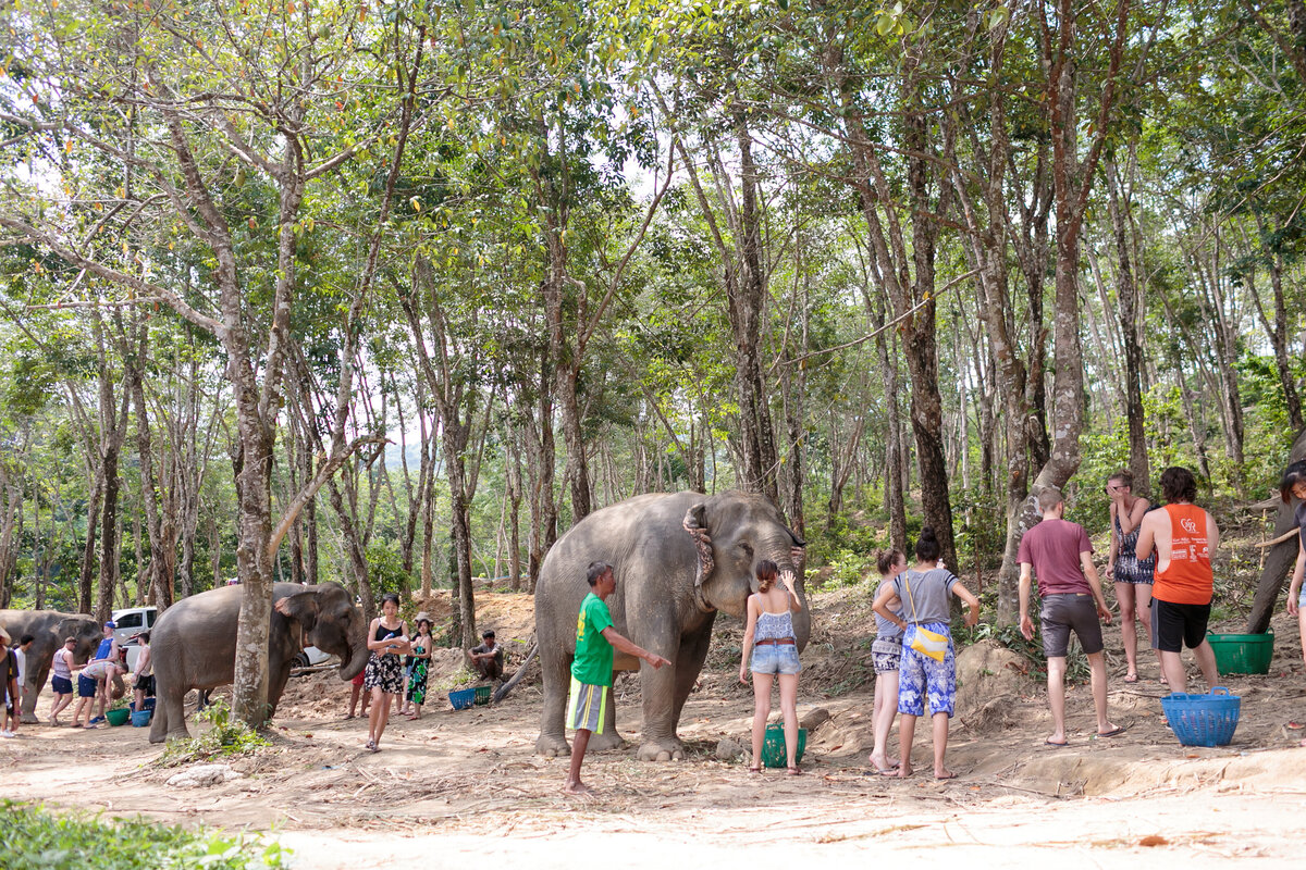 2017July-ChiangMai-Phuket-Thailand-0293