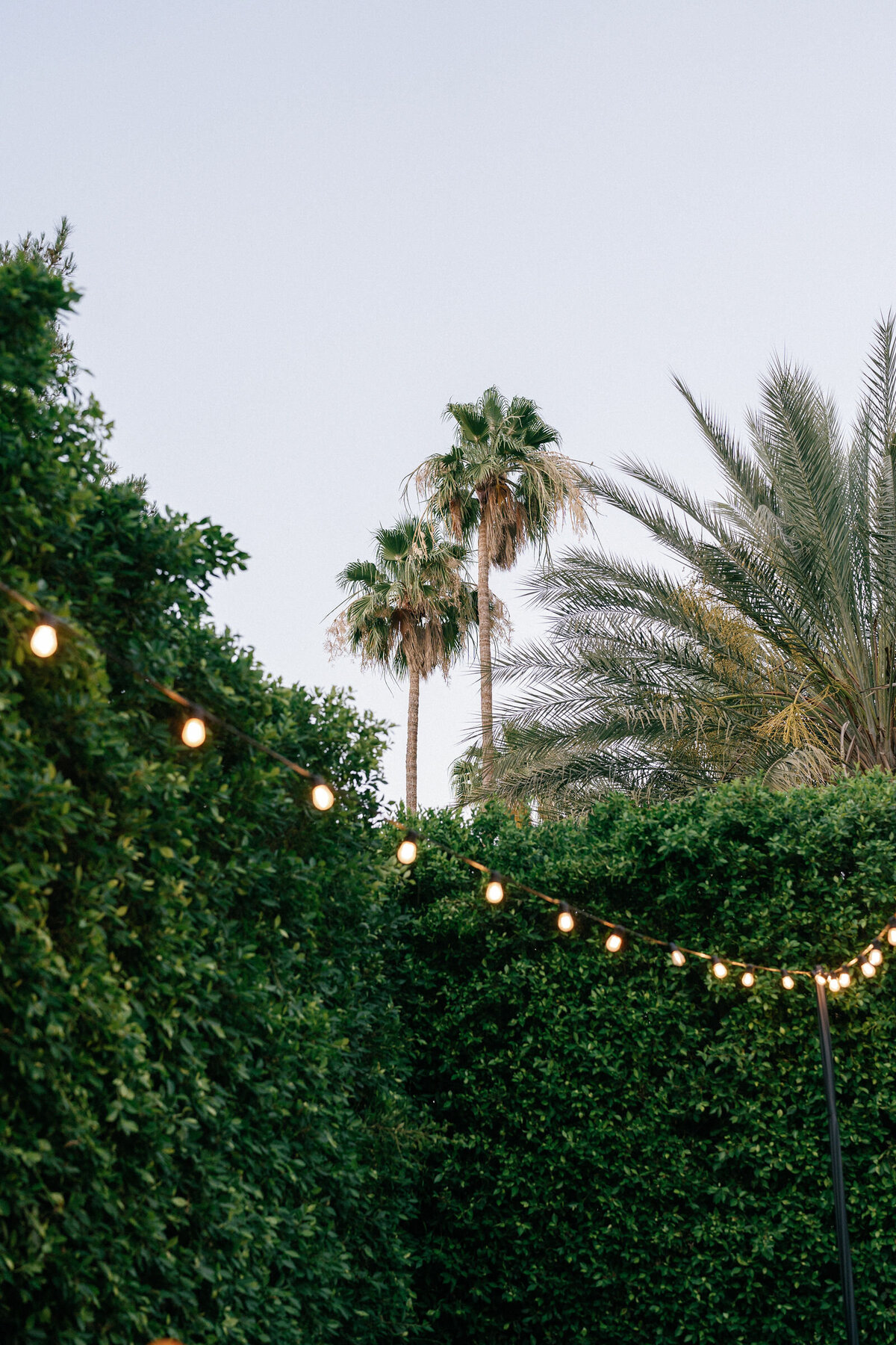 Olivia-Marshall-Palm-Springs-73