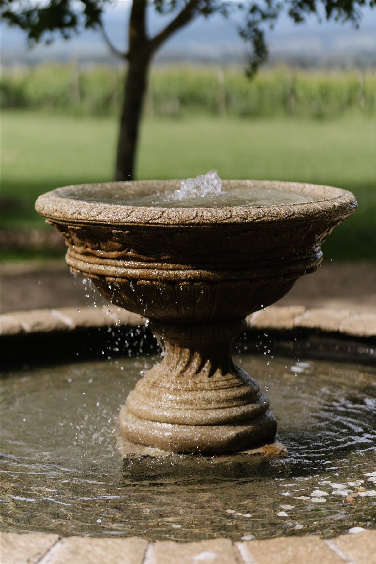 Tuscany Wedding Photography_5