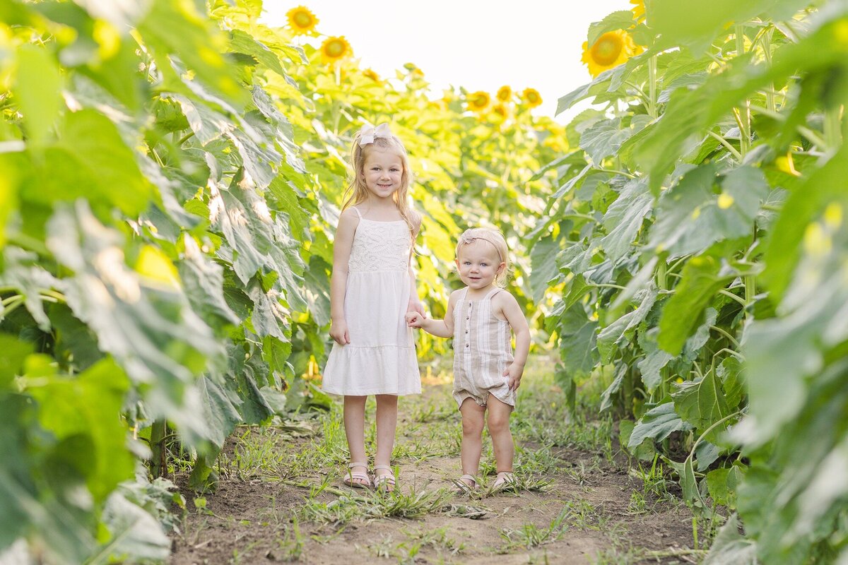 mahnnke-ohio-sunflower-kid-photos-1