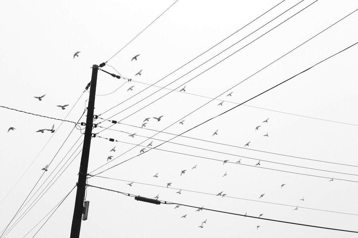 20141231_LONG_BEACH_ISLAND_0044_01bw