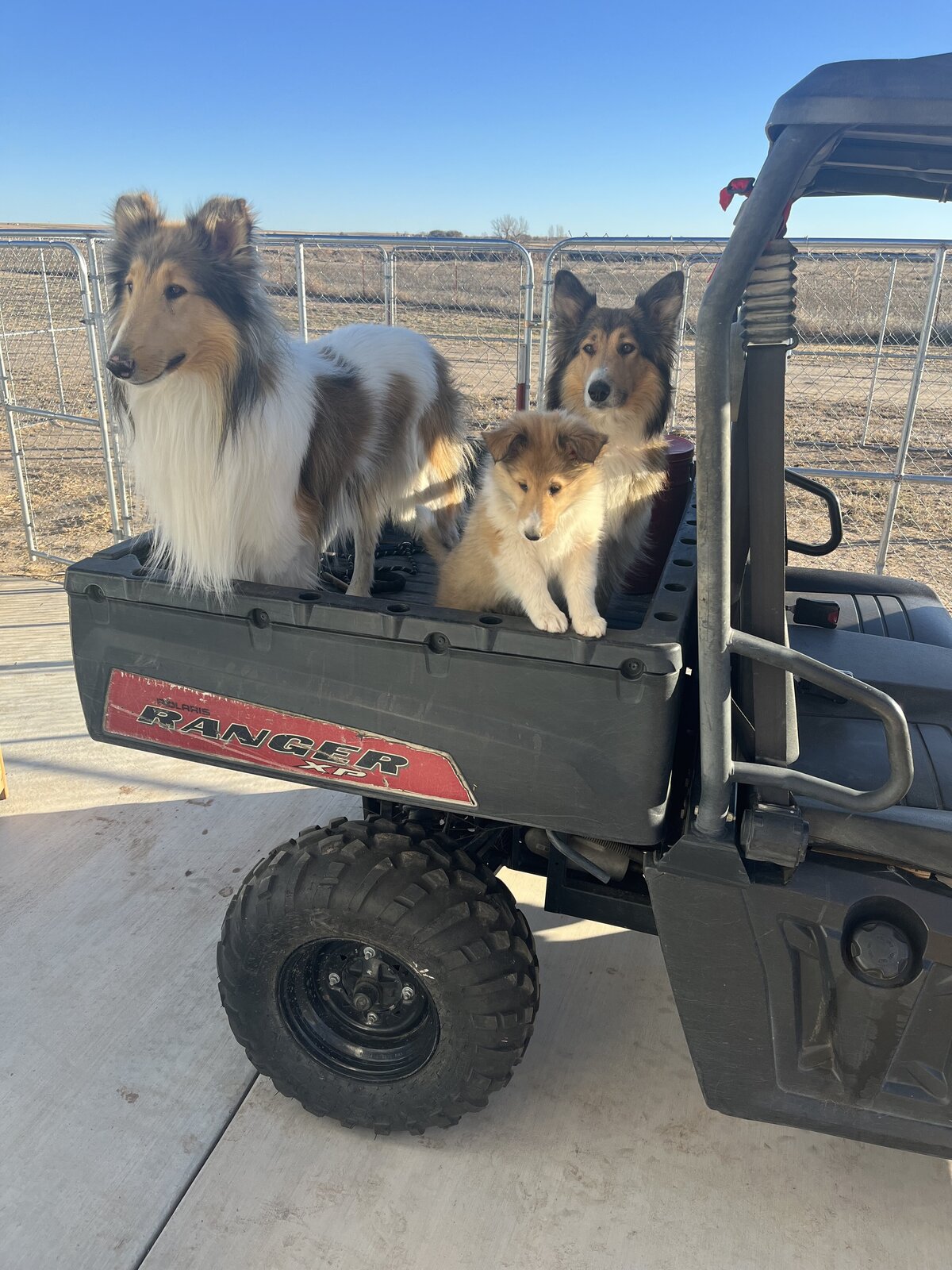 Sedona and Parents in Polaris