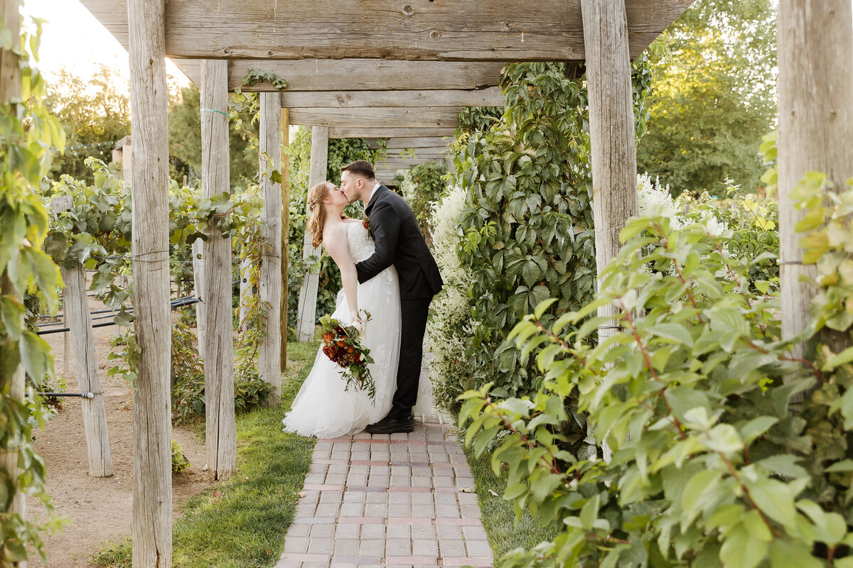 wedding at sandstone vineyard