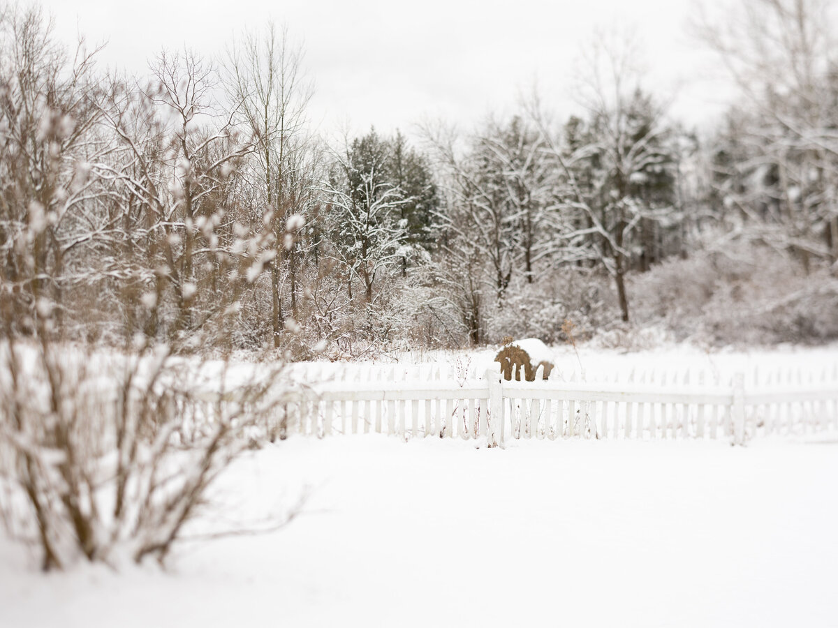 Harrison Maternity 2022-1