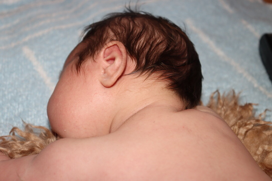 D1C83A19-8B89-48E3-AB54-3952FE481C7C_1_105_c