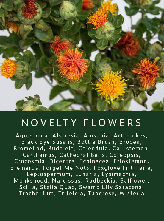 Novelty-Flowers