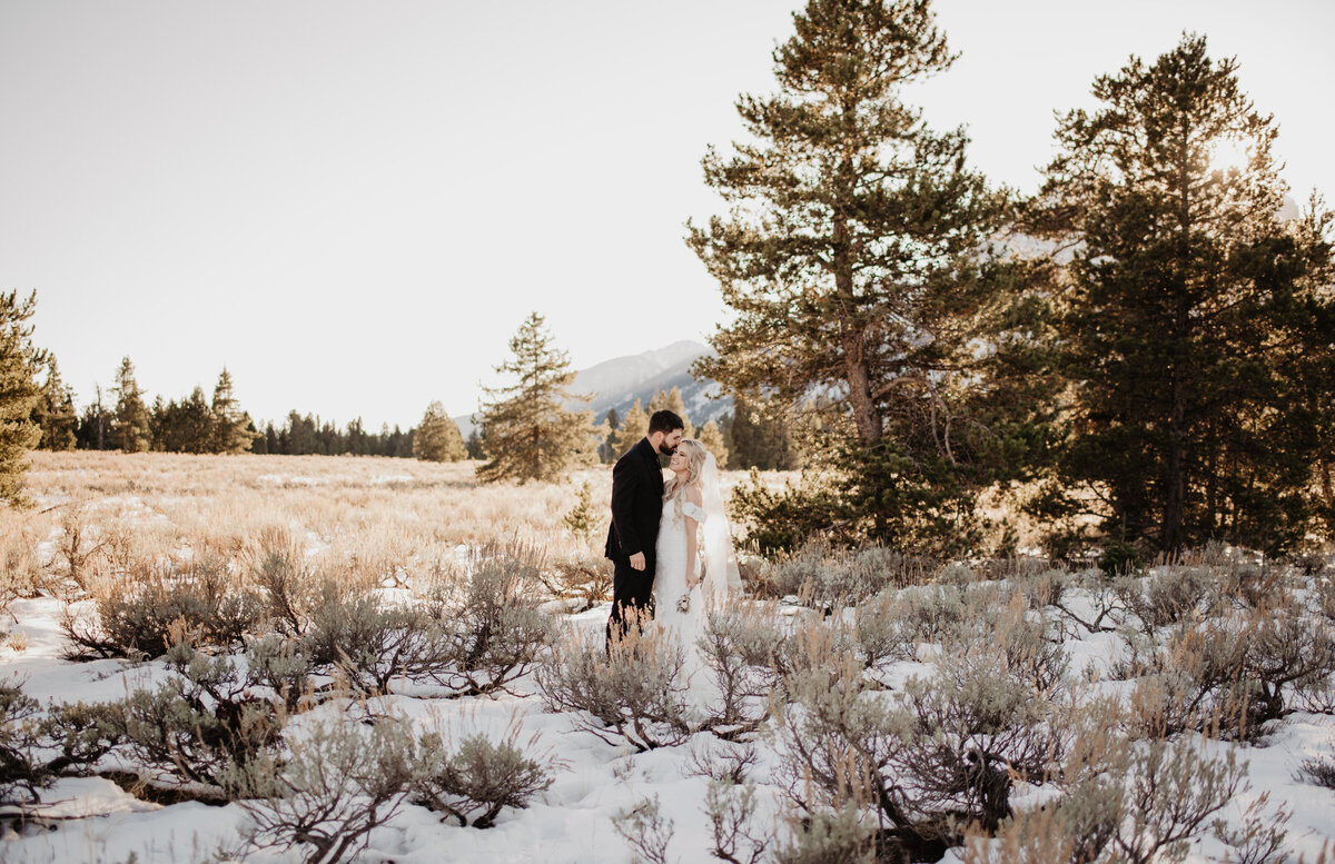 Jackson Hole Photographers capture couple kissing in forest