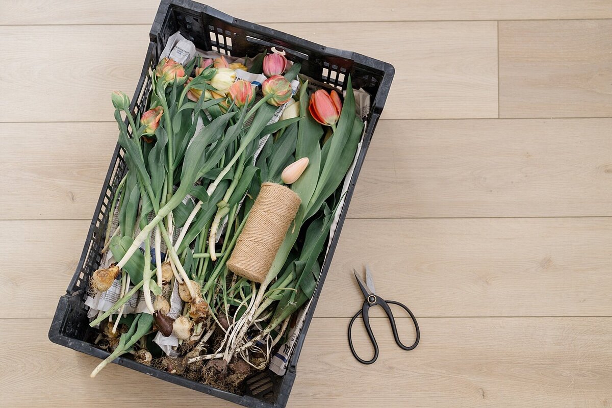 branding photo of flowers cut and in a crate for a floralist shop in Columbus