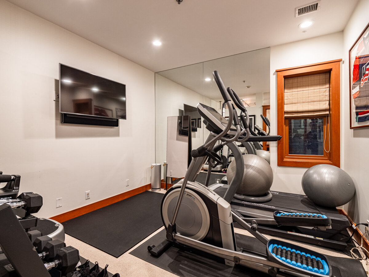 MLS - 532 E Hopkins Ave - Aspen, CO-48