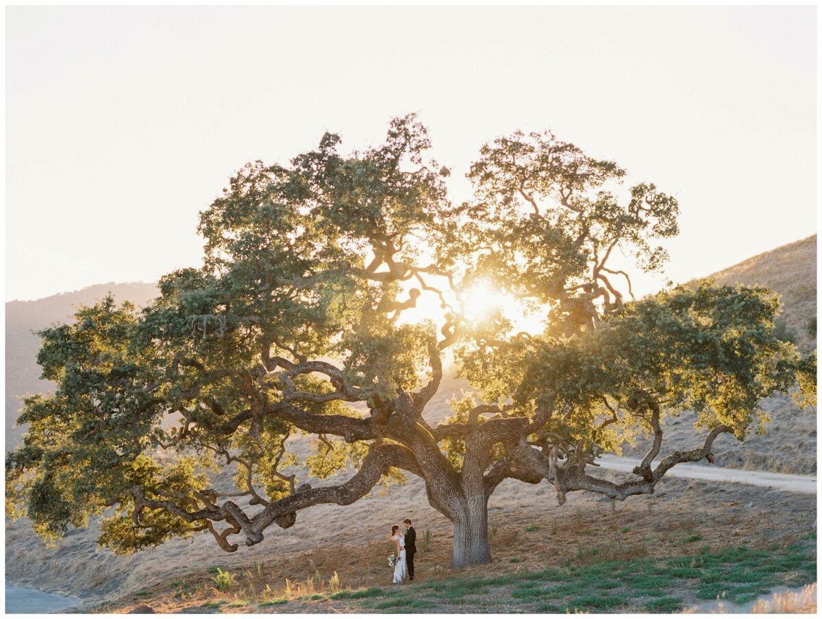 Katie-Jordan-Carmel-Valley-Holman-Ranch-Wedding-Cassie-Valente-Photography-0193