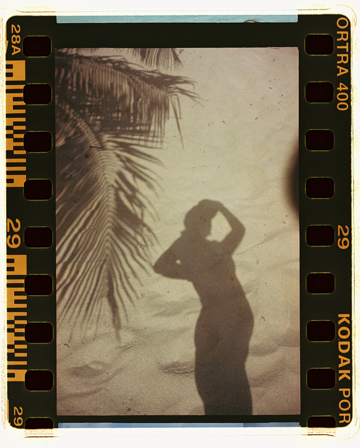 MeredithZ000561-R1-E028