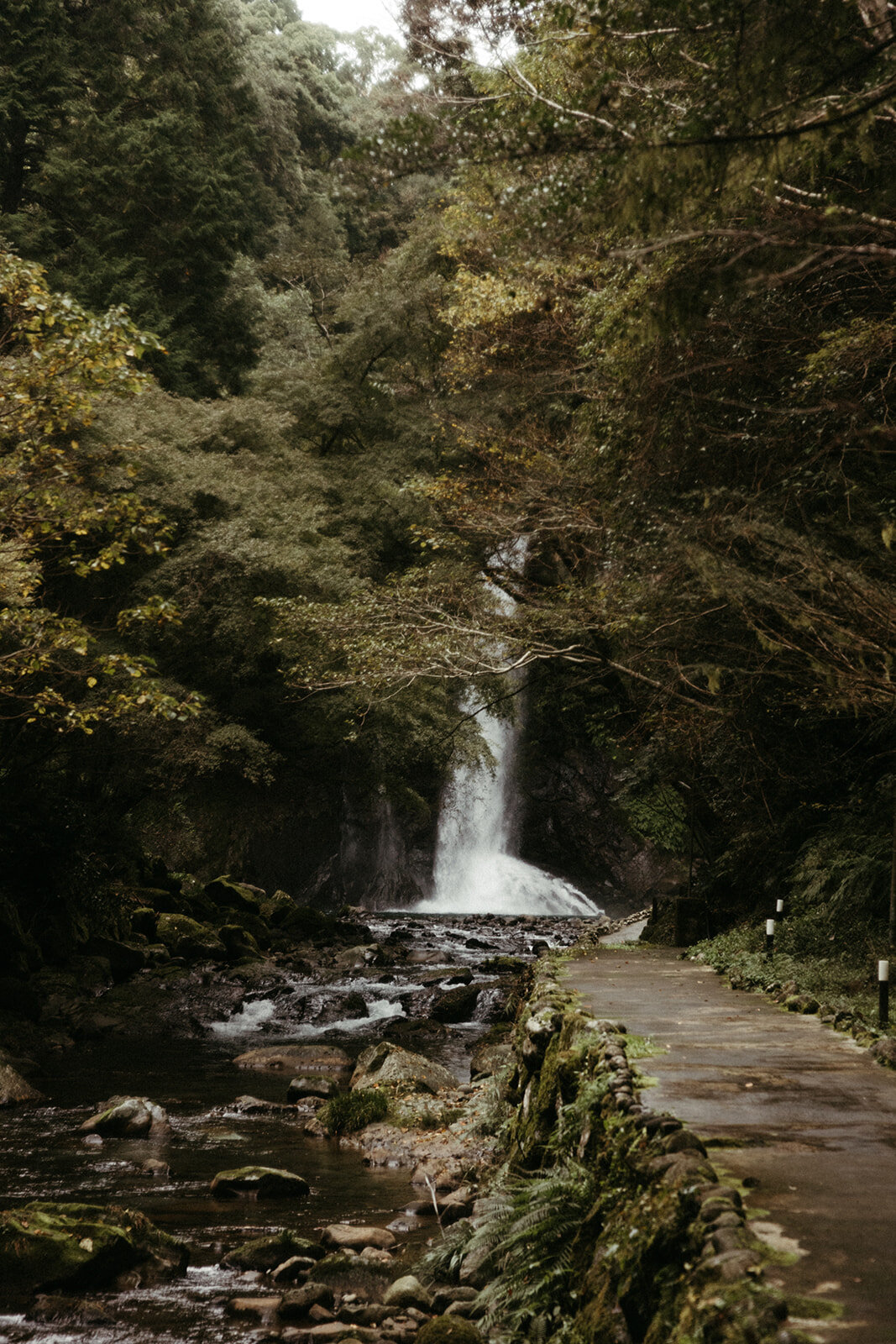 JapanElopement-DallinHazard-359