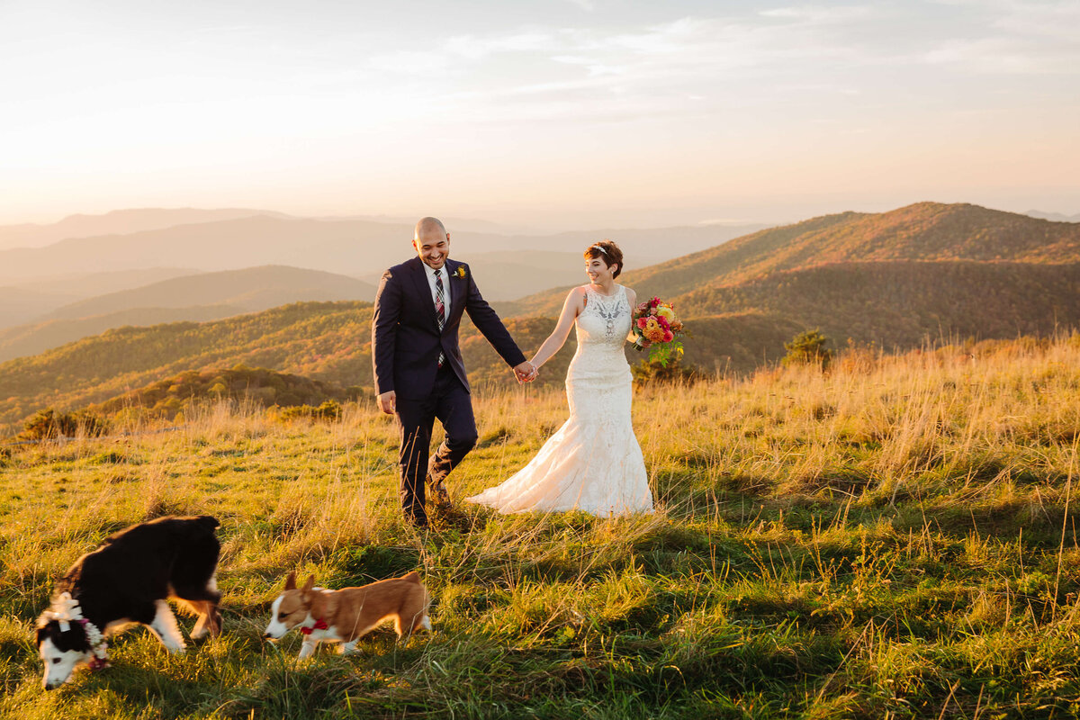 Max-Patch-NC-Mountain-Elopement-40