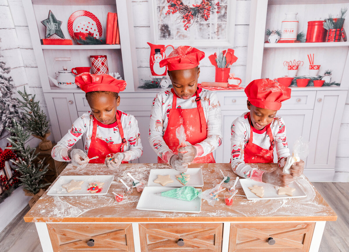 new-jersey-christmas-minis-25
