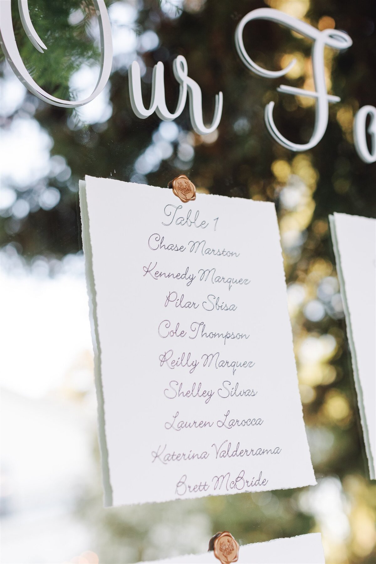 Park-Winters-wedding-Clay-Shauna-previews-ashley-carlascio-photography-0118