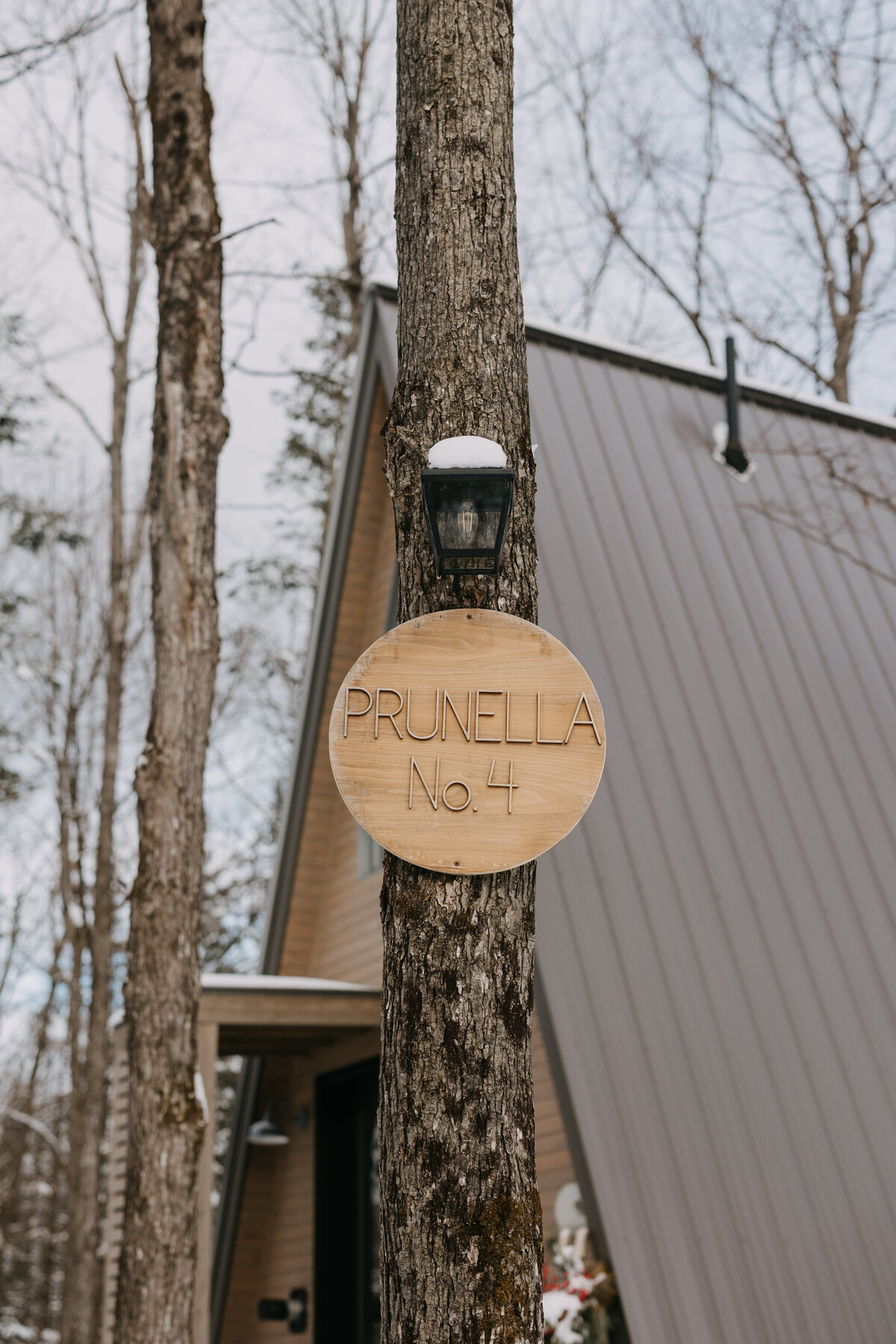 Prunella3-4-34