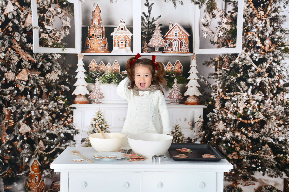 houstonchristmasbakingphotoshootmini (9)