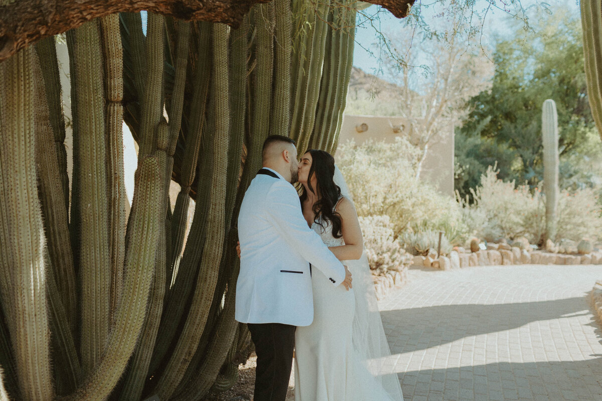 Desert-Botanical-Gardens-Wedding-OliviaHopePhotography--3
