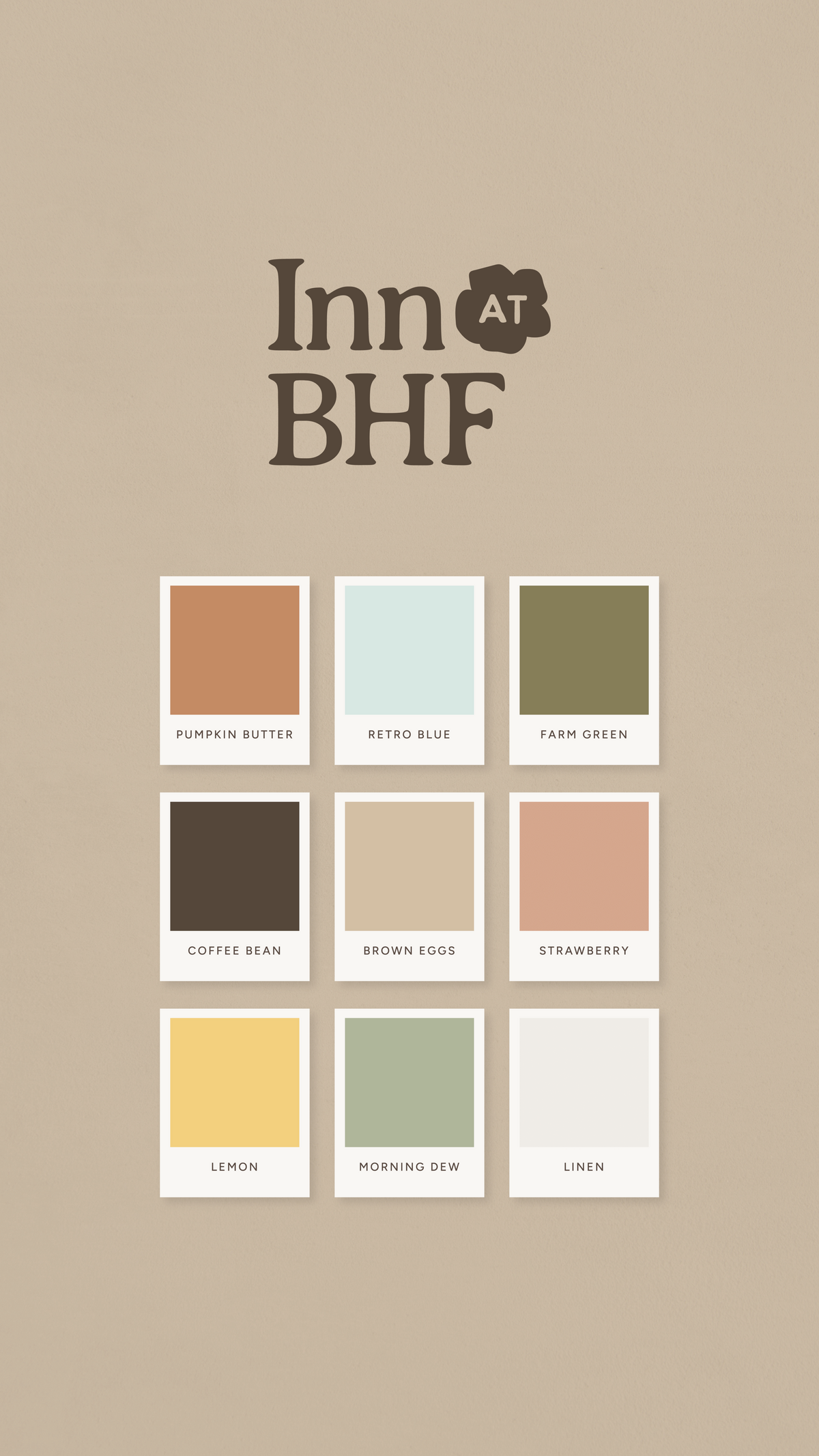 TIABHF Color Palette Graphic Story