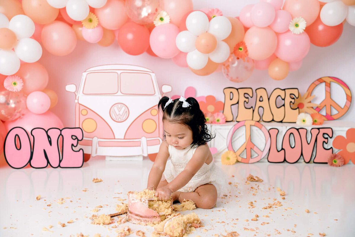 new-jersey-smash-cake-photographer-87