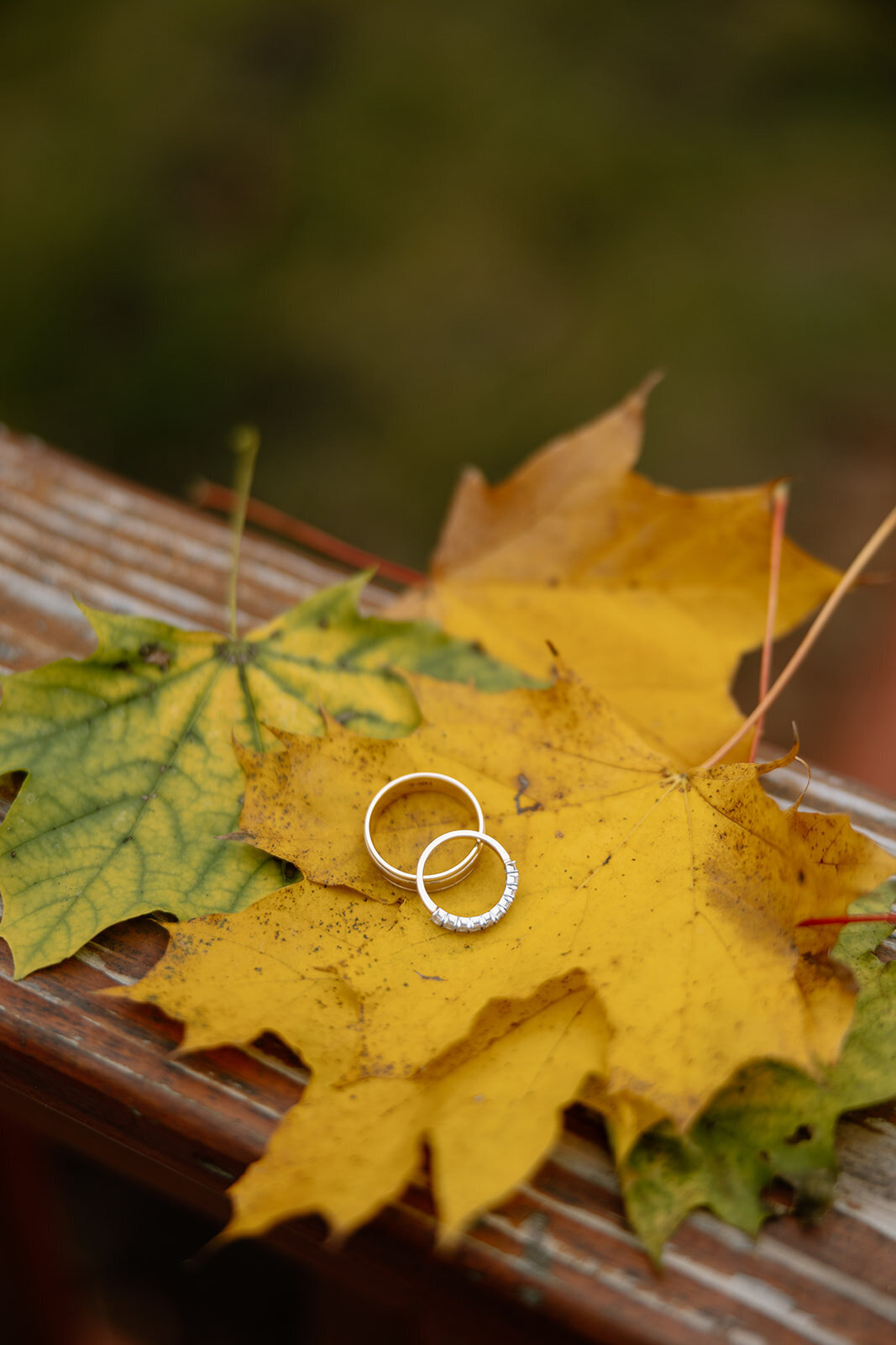 Erin of Boston Photography Boston Wedding Photographer, Boston Elopement Photographer, New England Wedding Photographer, Berkshires Wedding Photographer, Cape Cod Wedding Photographer Boston Engagement Engagements Erin DeFuria72
