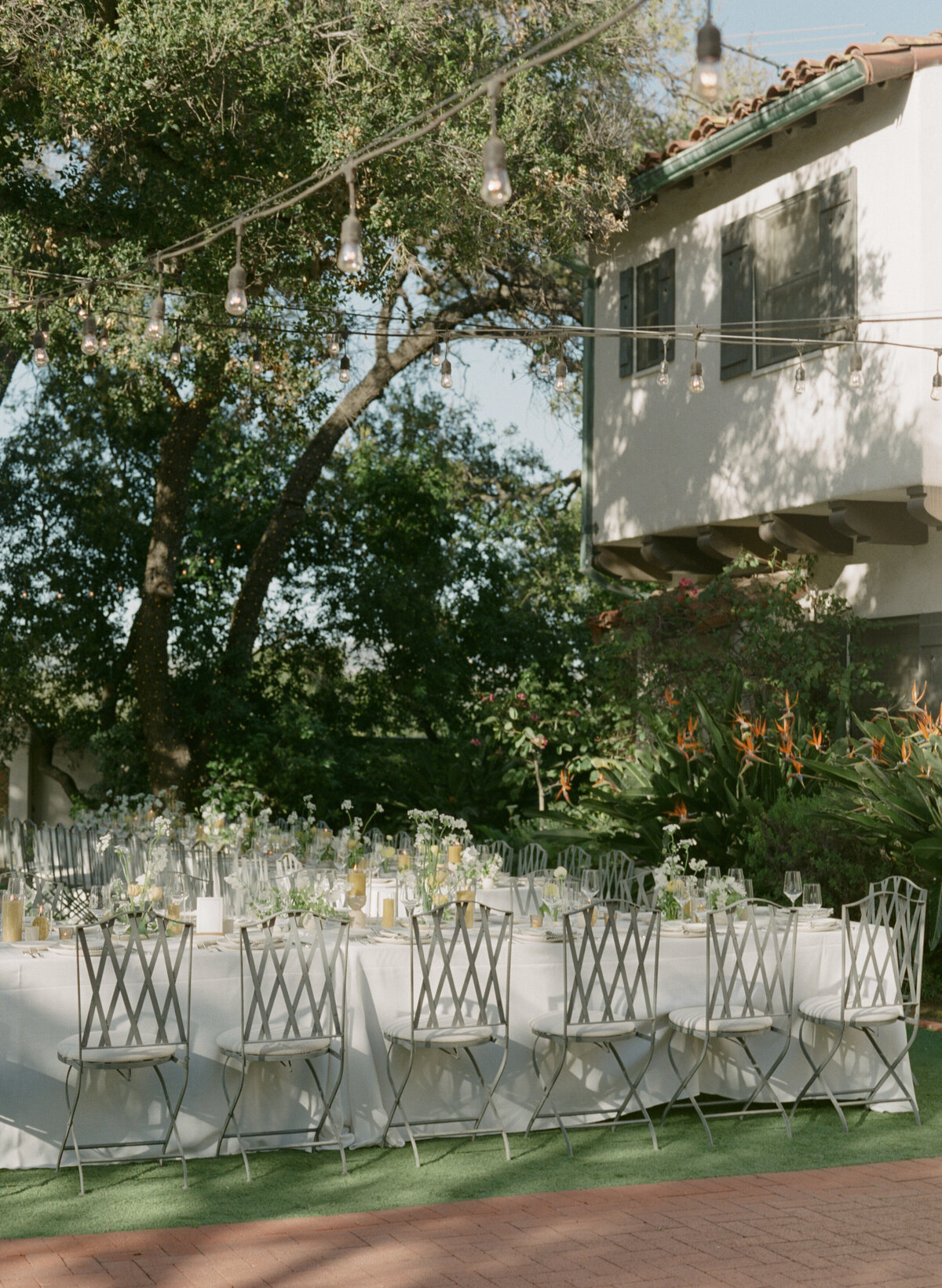 Erika & Daniel Sneak Peaks-30