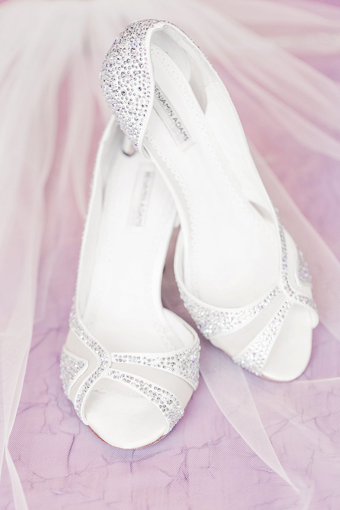 dylan-2018-03-23_0082