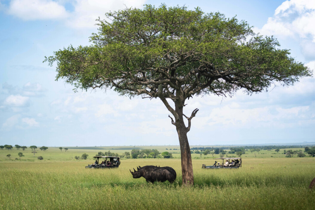 TAASA Lodge - Wildlife & Safari (12)