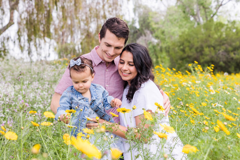 family-looking-at-daisies-bonita-san-diego