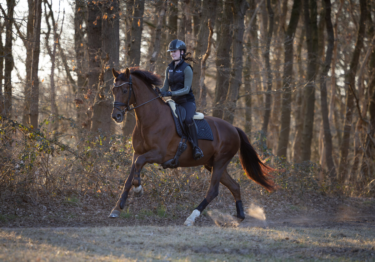 382A1036 - hoge resolutie