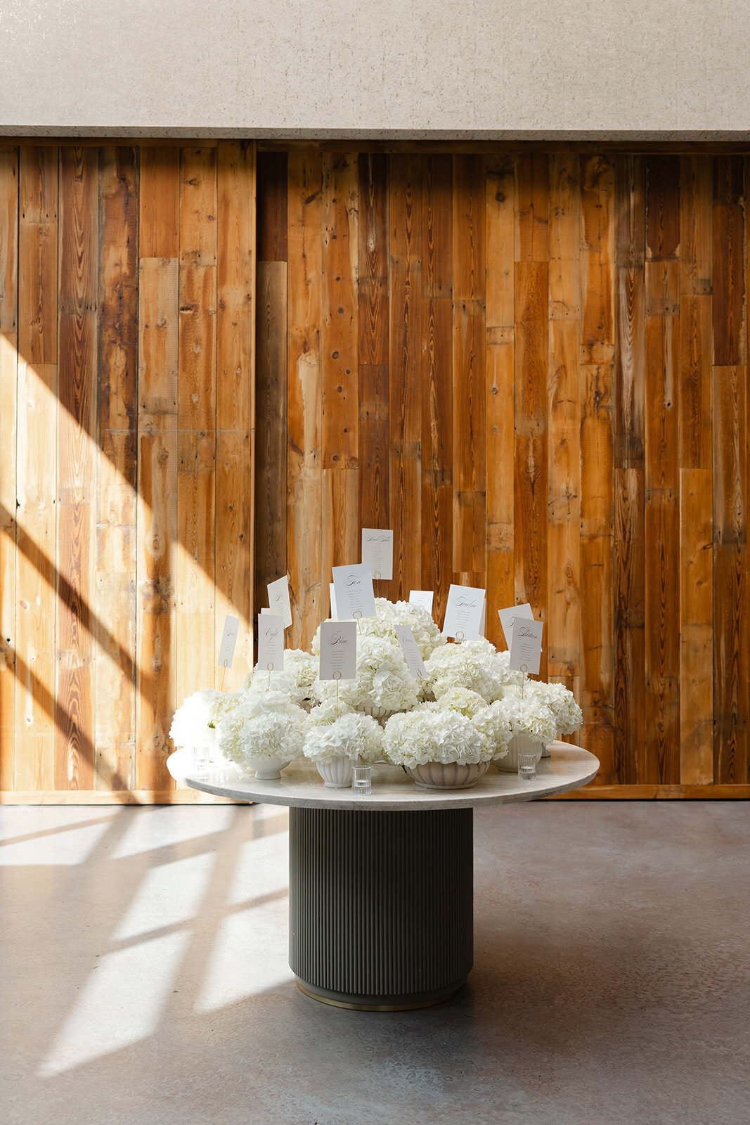 photos-by-teenzy-102