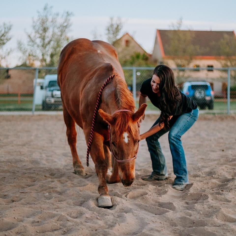 Photo Mar 13 2023, 6 32 32 PM