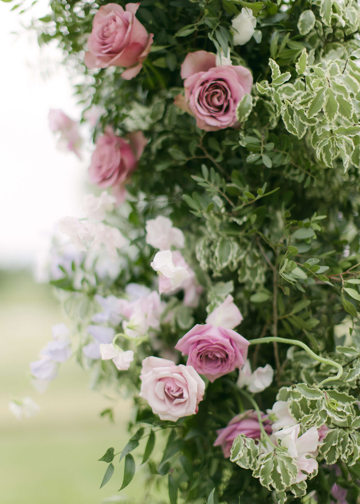 Rachel-Alex-Wedding-Wilderness-Reserve-Sneak-Peek-Chloe-Winstanley-Photography-079