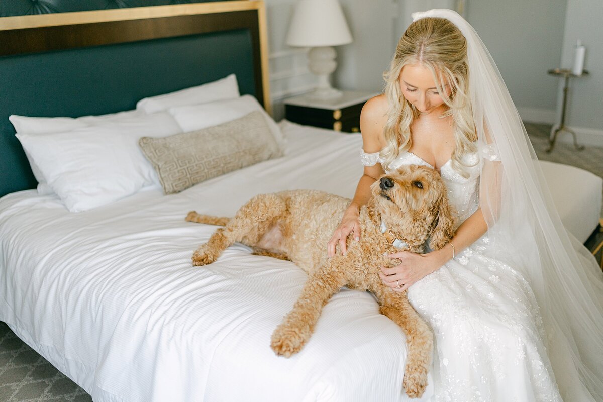 Hotel Carmichael Wedding Alison Mae Photography_1849