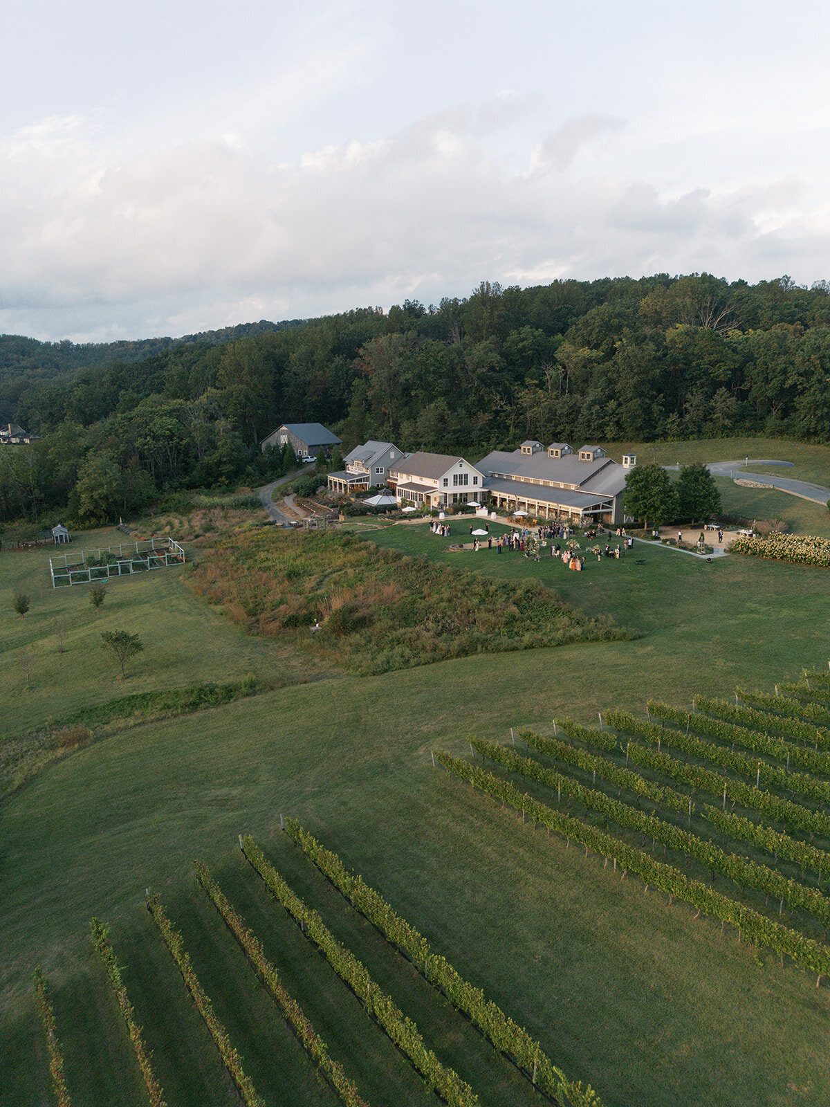 Pippin Hill Wedding Photographer_103