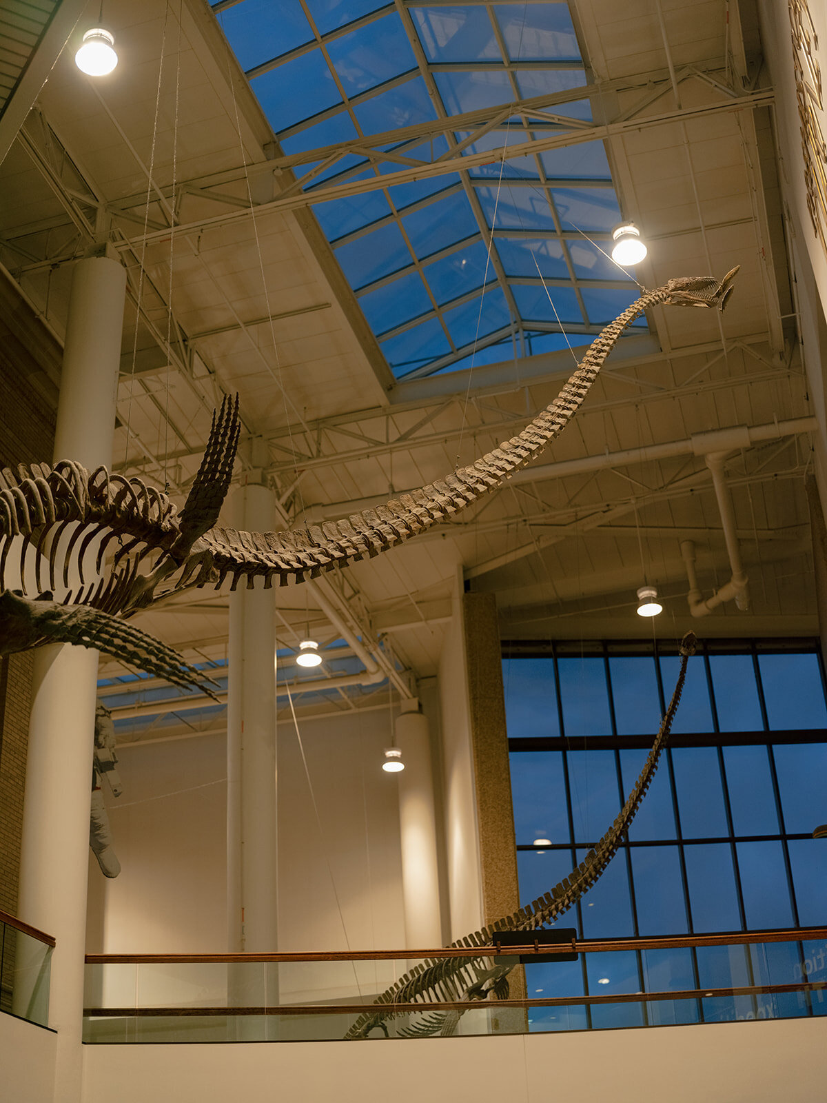 Alycia and Jonathan-Carrie King Photographer-69_websize