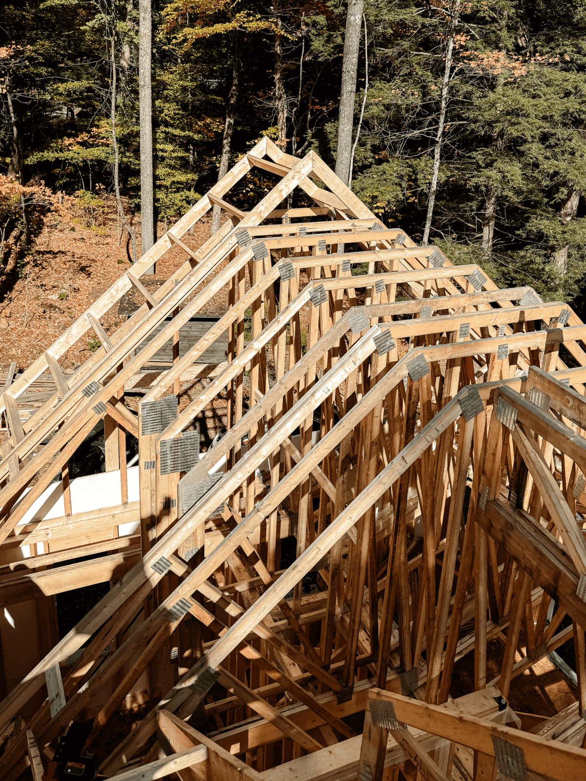 Haliburton Highlands custom timber frame build showcasing traditional construction with modern luxury home features.