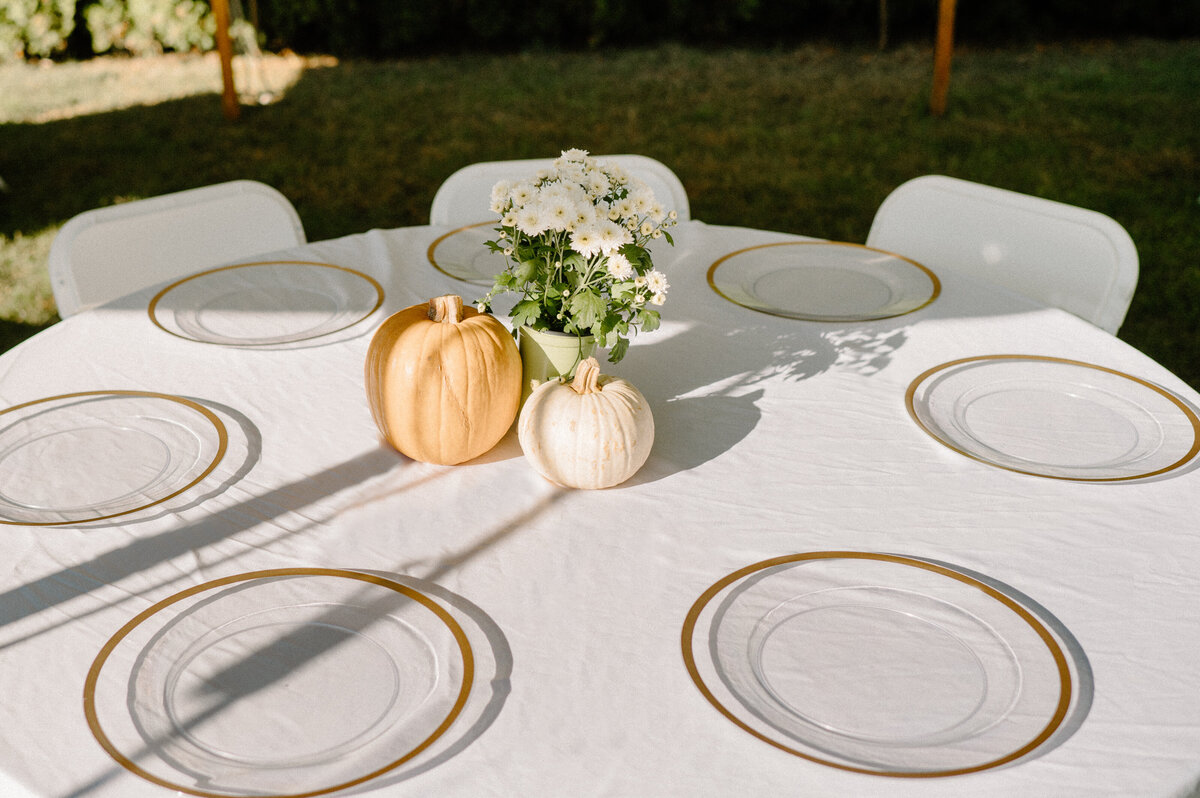 Jeannine Lombardo Photography (3 of 4)