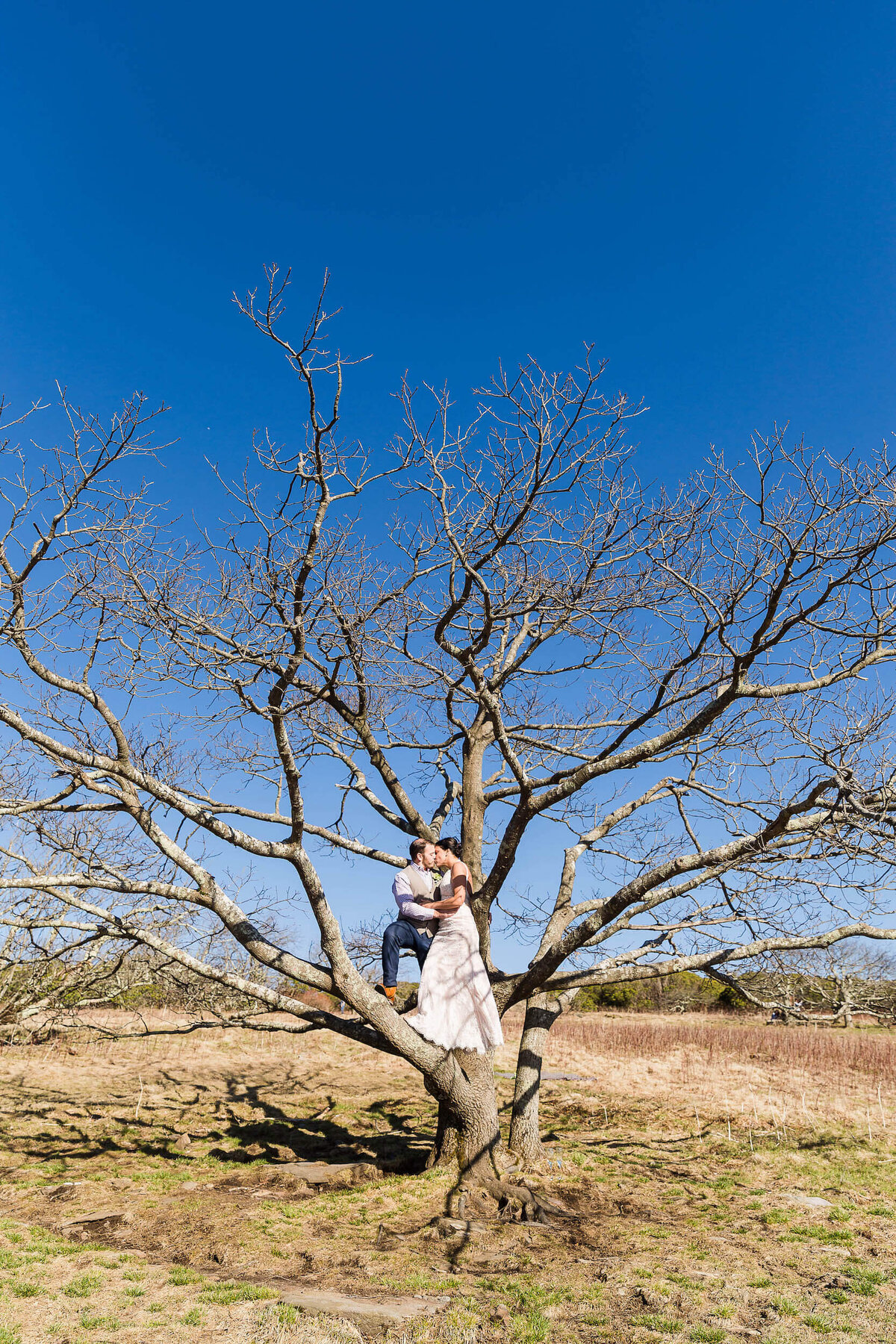 Craggy-Gardens-NC-Elopement-20